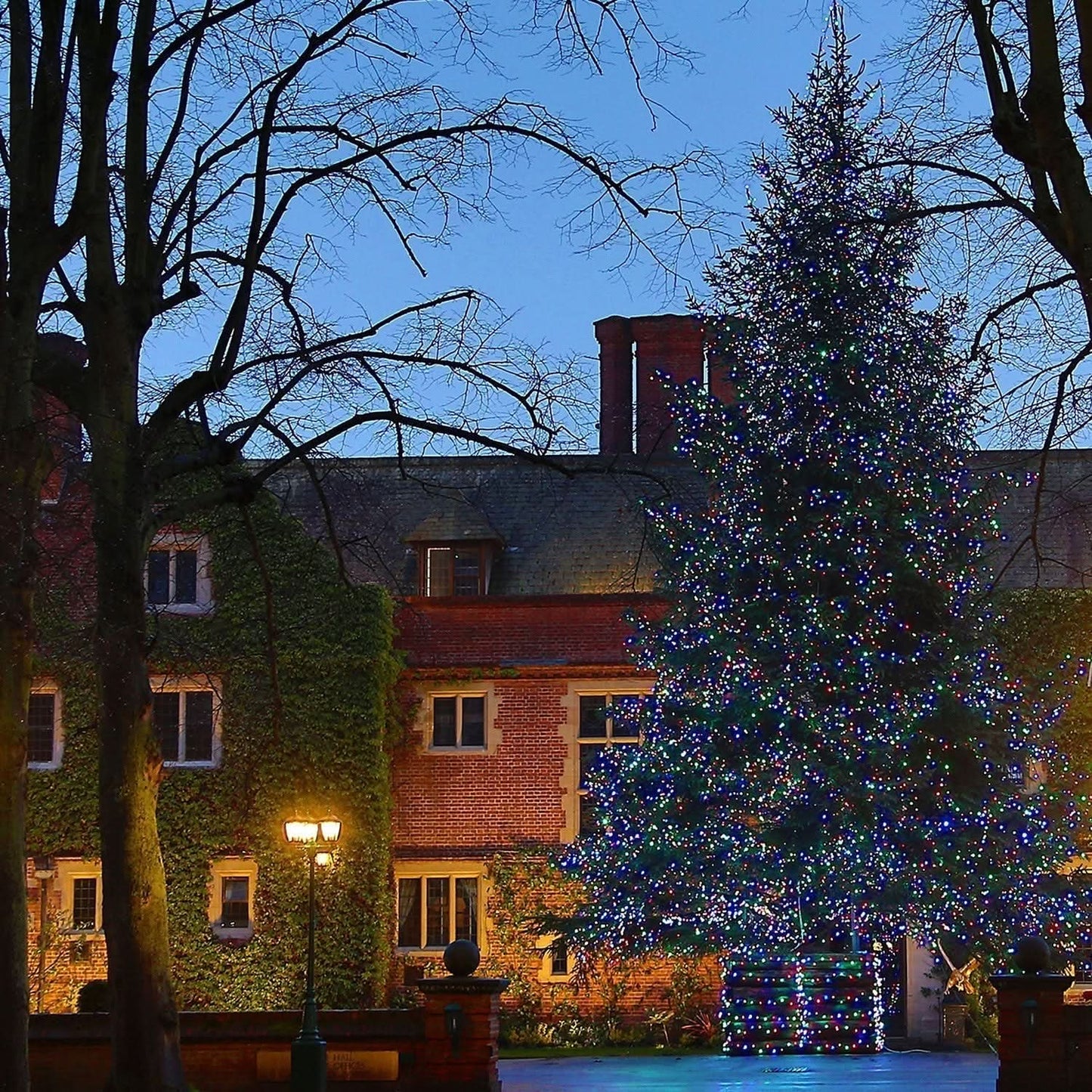 100 luzes multicoloridas